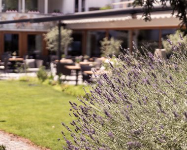 Boutique Hotel nahe Meran: willkommen im Zum Rosenbaum! Boutique Hotel nahe Meran: willkommen im Zum Rosenbaum!