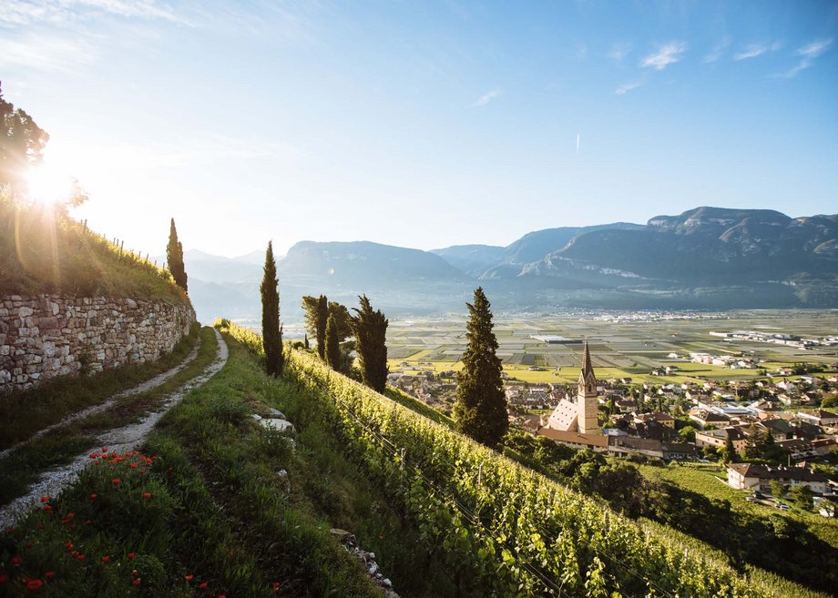 Cercate alloggi ed escursioni a Merano? Eccole qui! Cercate alloggi ed escursioni a Merano? Eccole qui!